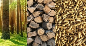 Si se sustituye la energía convencional por la biomasa