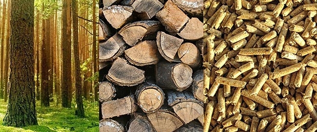 Si se sustituye la energía convencional por la biomasa
